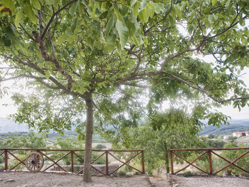 Villa Casa Vacanze Toscana Il Puggio Capolona Zimmer foto